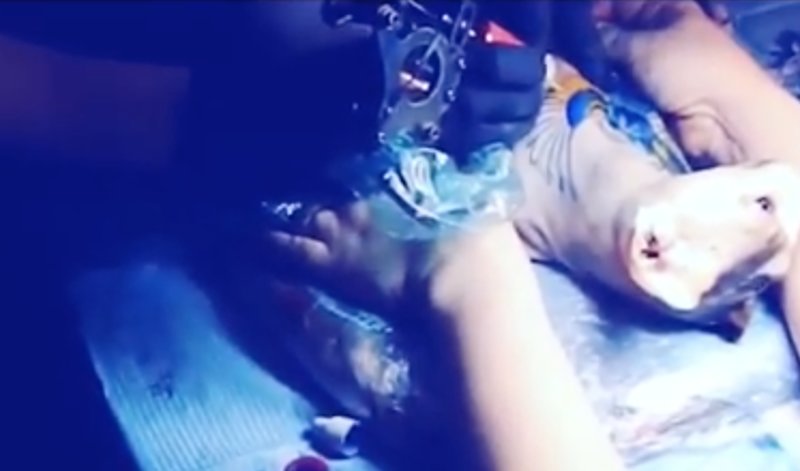 Katten Demon Katten Demon